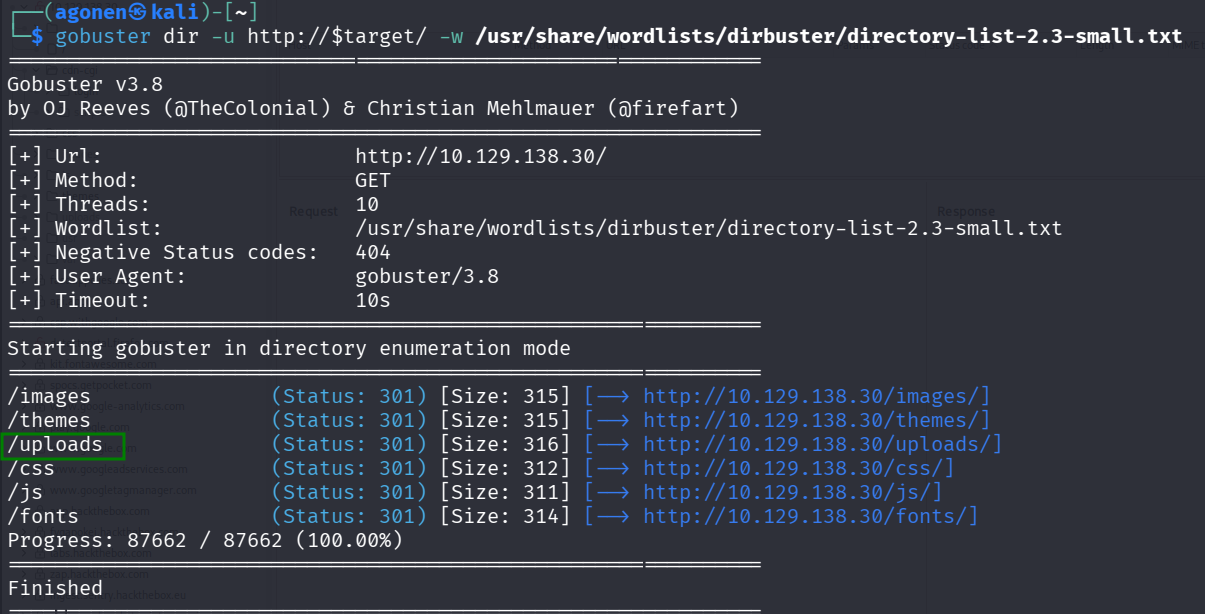 gobuster