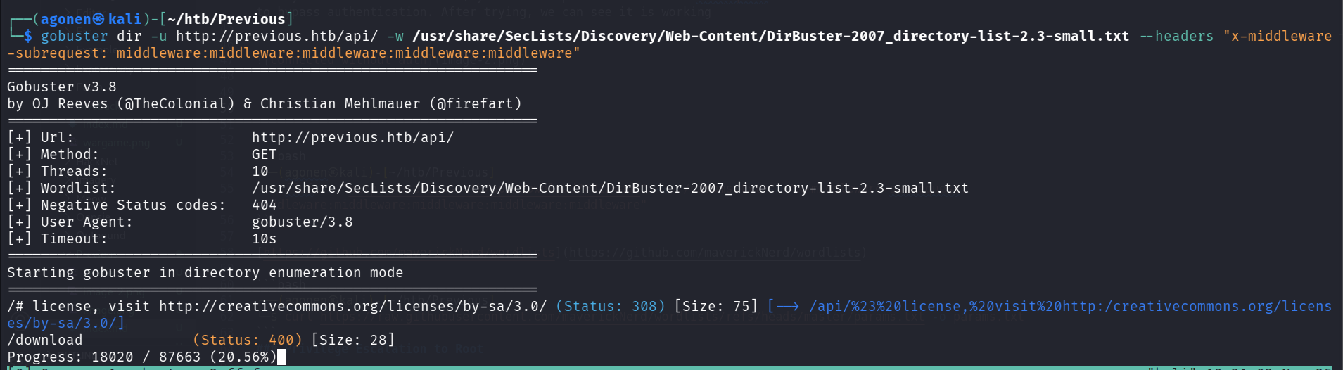 using gobuster to find hidden endpoitns