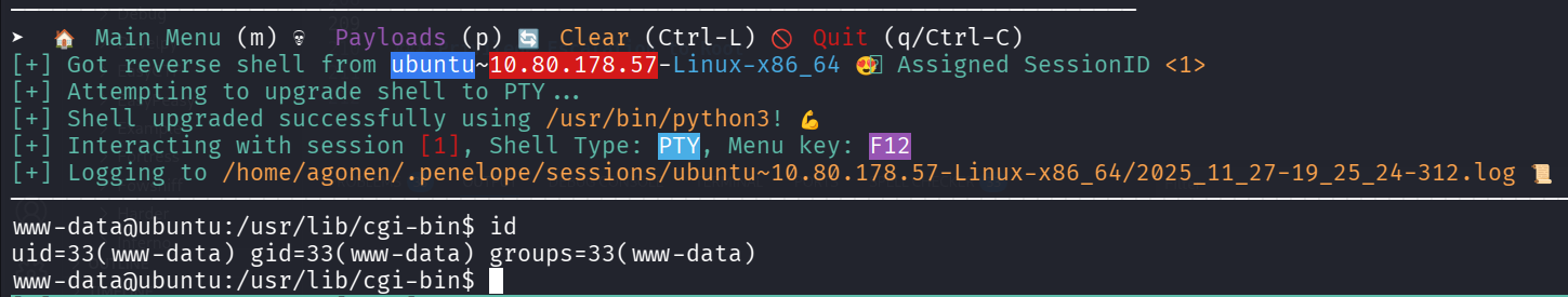 reverse shell penelope