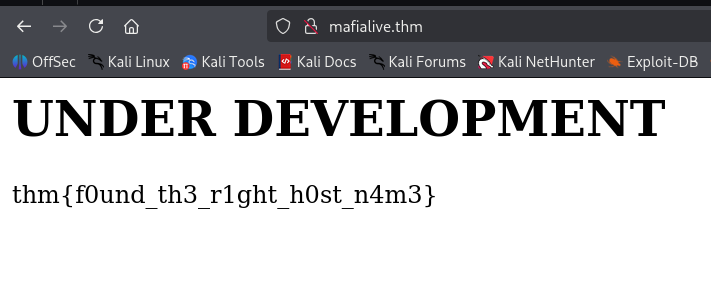 get mafialive.thm flag