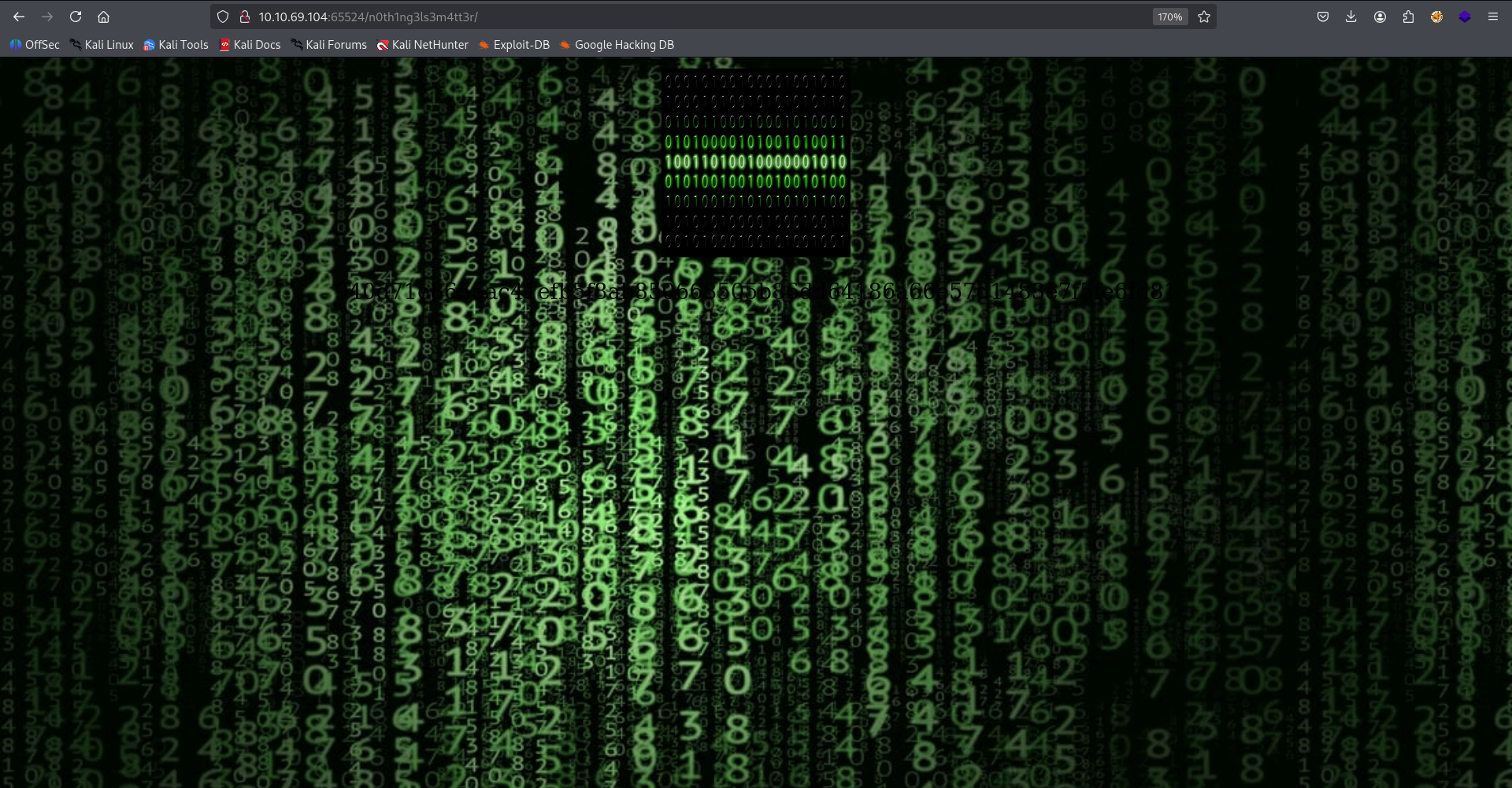 /n0th1ng3ls3m4tt3r endpoint