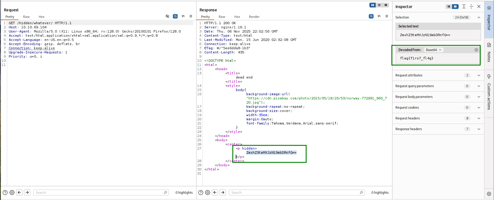burp detect hidden flag