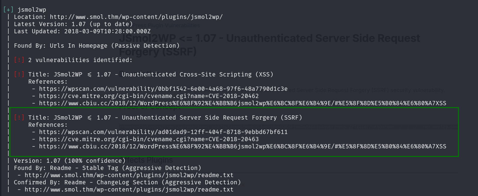 detect SSRF vulnerability