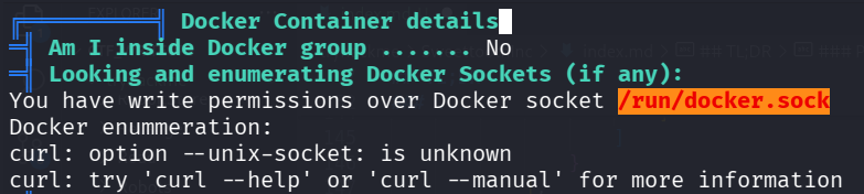docker container