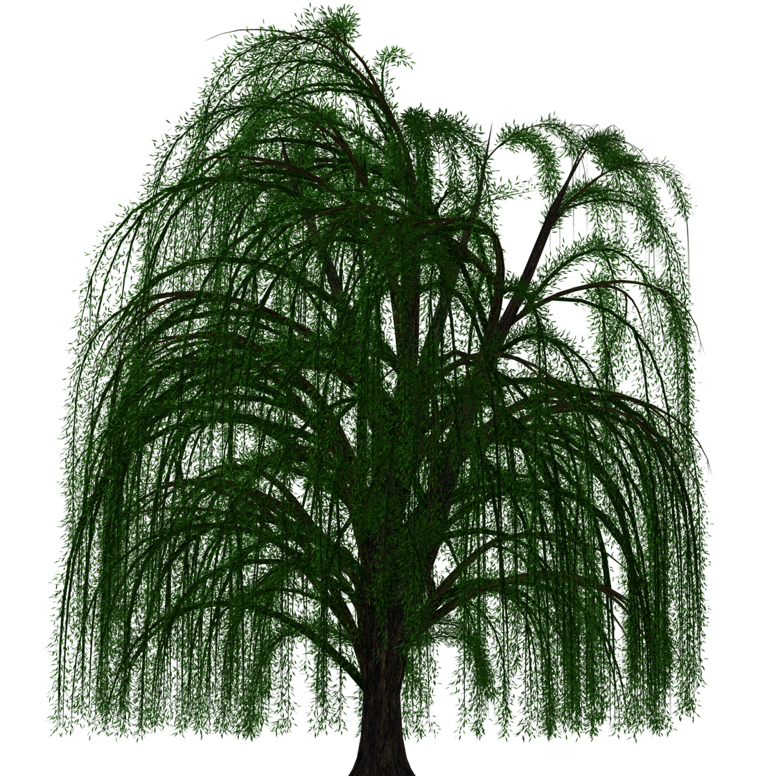 Willow wargame image