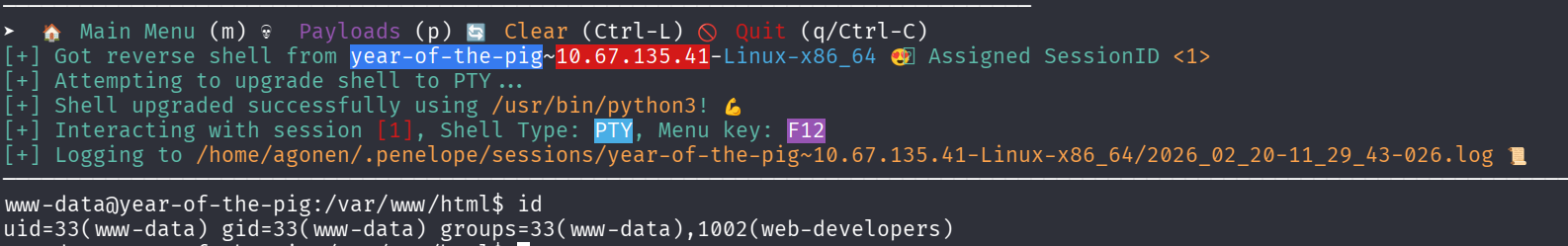 rev shell as www-data