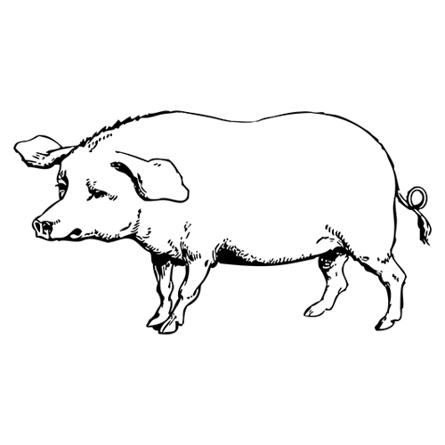 Yearofthepig wargame image